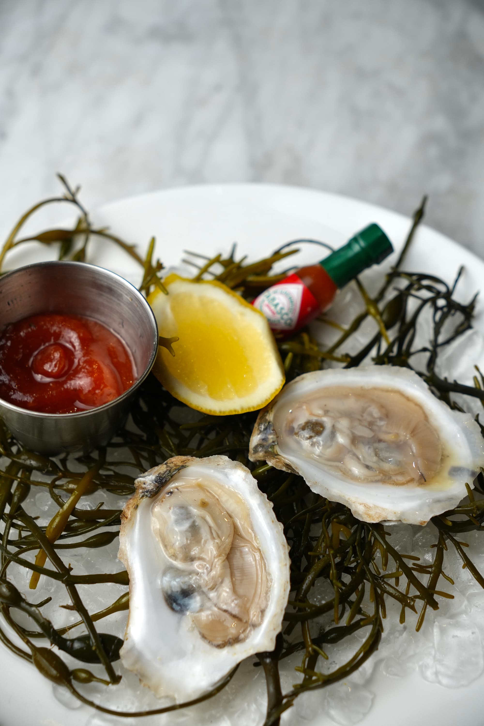 Oysters